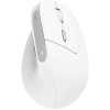 Trust Bayo II Ergonomic Wireless Mouse 25398