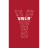 YBiblia Biblia Katolíckej cirkvi pre mladých