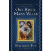 One River, Many Wells
