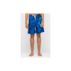 SANTA CRUZ plavky - Screaming Hand Boardshort Royal Cloud Dye (ROYAL CLOUD DYE) veľkosť: 32