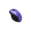Genius Ergo 8200S Myš, bezdrátová, optická, 1200dpi, 5 tlačítek, tichá, BlueEye senzor, USB, fialová 31030029402