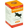 Arthronis mini ACUTE CANIS sýrová příchuť 60 tbl