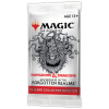 Wizards of the Coast Magic the Gathering Adventures in the Forgotten Realms Collector Booster