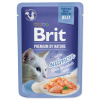 Brit Premium (VAFO Praha s.r.o.) Brit Premium Cat Delicate Fillets in Jelly with Salmon 85 g