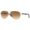 Ray-Ban Tech Carbon Fibre RB8313 001/51