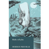 Biela veľryba - Herman Melville