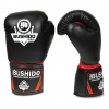 Boxerské rukavice DBX BUSHIDO ARB-407