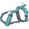 Premium trekingový postroj, aqua/grafit XL: 80-97 cm/25 mm