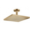 Hansgrohe 26250140 Raindance E 300 1jet Hlavová sprcha pod strop, kartáčovaný bronz HG 26250140