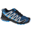 Salomon XA Pro 3D v8 GTX M 416292 running shoes (186490) Black 45 1/3