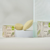 Kvítok tuhý šampon s kondicionérem proti lupům Moringa 50 g