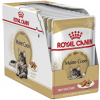 Royal Canin Cat Maine Coon Gravy 12x85 g