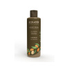 Herbatica Hlboko vyživujúci kondicionér na vlasy Organic Argan - 250ml - Ecolatier