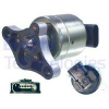 AGR - Ventil Delphi EG10003-12B1