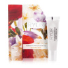 Ryor Decorative Care Podkladová báza 10 ml