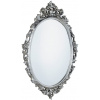 Sapho Desna zrkadlo 80x100 cm oválne strieborná IN344