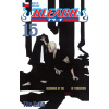 Bleach 15: Beginning Of Death Tomorrow - Tite Kubo