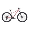 CTM CHARISMA 5.0 2025