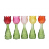 daan kromhout 5ks farebný mix sklenený svietnik/ váza tulipán Love Tulip - Ø 7*18 cm - daan kromhout