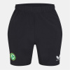 Castore Ireland Travel Shorts 2024 Mens Black 3XL