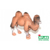 Atlas C - Figurka Velbloud 11 cm