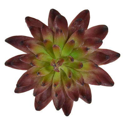 MF Umelá rastlina Echeveria Kaktus (15cm) - burgundy