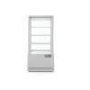 VITRINA CHLADIACA ARKTIC 78L BIELA
