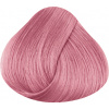 LA RICHÉ Directions Pastel Rose 89 ml
