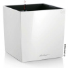 Lechuza Kvetináč CUBE Premium 50 - white high gloss