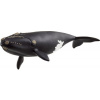Schleich Zvieratko - Veľryba severoatlantická