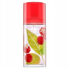 Elizabeth Arden Green Tea Lychee Lime toaletná voda dámska 100 ml