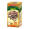 Terezia Company Hlíva ústřičná 60 kapsúl
