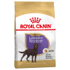 Dvojbalenie Royal Canin 2 x veľké balenie - Sterilised Labrador Retriever Adult (2 x 12 kg)