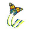 Günther BUTTERFLY 95 x 63 cm