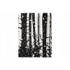 Deka 4Living polyester 150 cm x 200 cm biela