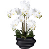 Phalaenopsis, real touch ,výška 750 mm