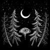 LP Lustre: Night Spirit LTD | CLR
