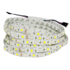 LED pásik RGB + Biela 60x 5050 SMD