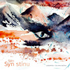 Syn stínu - Sjón (mp3 audiokniha)