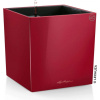 Lechuza Kvetináč CUBE Premium 50 - scarlet red high gloss