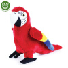Rappa papoušek červený Ara Arakanga 24 cm