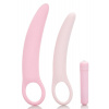 California Exotic Novelties Inspire Silicone Dilator Kit