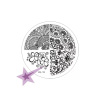Starnails Razítkovací destička JQ19 - Ornamenty
