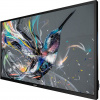 Philips /32BDL3511Q/ 31,5