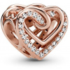 PANDORA Moments People 789270C01