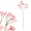Autronic Gypsophila - umělá řezaná, 96 cm, růžová, sada 12 ks