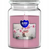 Bispol Aura Maxi Spa Garden 500 g