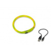 Nobby Led Visible svietiaci obojok
