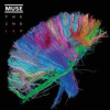 Muse - 2nd Law / Vinyl / 2LP [2 LP]