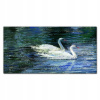 Foto -camera akryl 120x60 Lake Birds Swans Water (Foto -camera akryl 120x60 Lake Birds Swans Water)